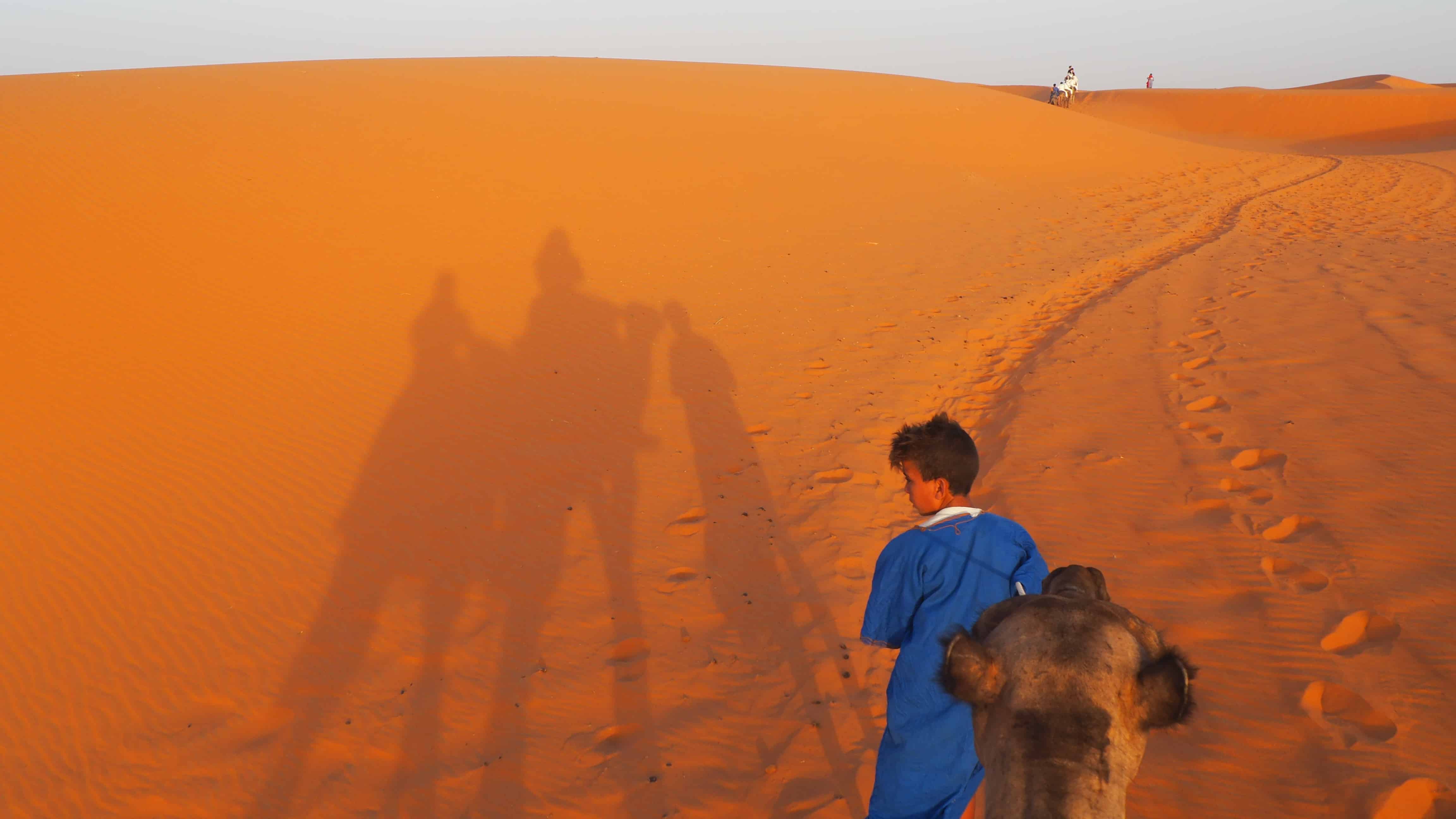 Sahara Desert Camel Riding